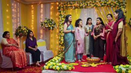 Pinga Ga Pori Pinga S01 E338 Teja and Harshit's Haladi Ceremony