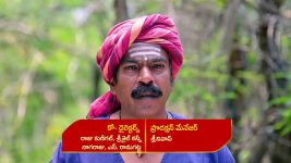 Renuka Yellamma (Star Maa) S01 E751 Mangaladevi, Karthaveerya's Deal