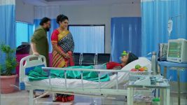 Salangai Oli (Zee Tamil) S01 E156 14th November 2025
