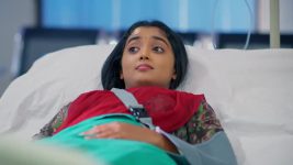 Salangai Oli (Zee Tamil) S01 E157 14th November 2025