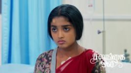 Salangai Oli (Zee Tamil) S01 E159 15th November 2025