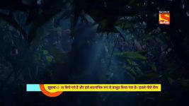 Tenali Rama S01E142 A Tiger On the Loose Full Episode