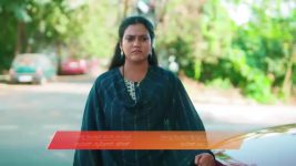 Amruthadhare S01 E835 31st December 2025