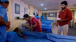 Annapoorna S01 E1030 9th December 2025