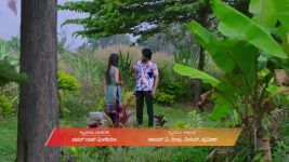 Annayya (Zee Kannada) S01 E346 3rd December 2025