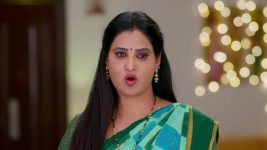 Brahma Mudi S01 E914 The Family Commends Raj, Kavya