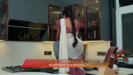 Chamanthi (Zee Telugu) S01 E308 20th December 2025
