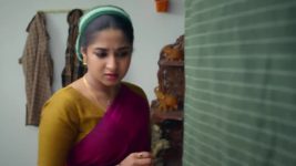 Chinnan Siru Kiliye S01 E116 31st December 2025