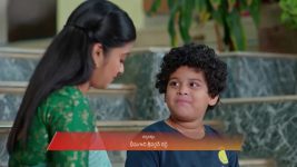 Dheerga Sumangli Bhava (Zee Telugu) S01 E219 17th December 2025