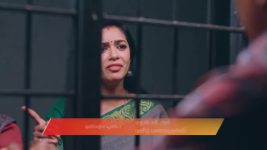 Gattimelam S01 E255 3rd December 2025