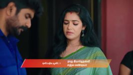 Gattimelam S01 E256 4th December 2025