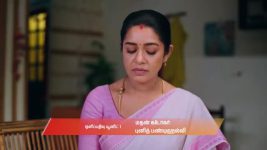 Gattimelam S01 E273 19th December 2025