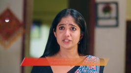 Gattimelam S01 E277 24th December 2025