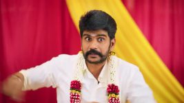 Gattimelam S01 E278 25th December 2025