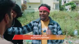Gattimelam S01 E283 31st December 2025