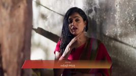 Gharana Mogudu (Zee Telugu) S01 E175 4th December 2025