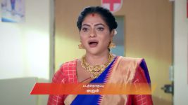 Karthigai Deepam S01 E1064 17th December 2025