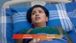 Karthigai Deepam S01 E1065 18th December 2025