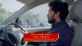 Karthika Deepam S02 E555 Dasarath, Deepa Condemn Parijatham