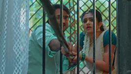 Maguva O Maguva S01 E573 Sindhura Confronts Chenchalamma