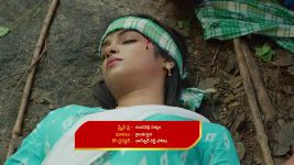 Malli Nindu Jabili S01 E1125 Cherry Blames Mallika