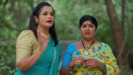 Nindu Noorella Saavasam S01 E749 3rd December 2025