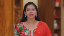Salangai Oli (Zee Tamil) S01 E200 5th December 2025