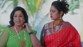 Salangai Oli (Zee Tamil) S01 E201 6th December 2025