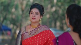 Salangai Oli (Zee Tamil) S01 E203 8th December 2025
