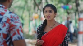 Salangai Oli (Zee Tamil) S01 E206 9th December 2025