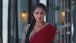 Salangai Oli (Zee Tamil) S01 E215 15th December 2025