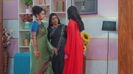 Salangai Oli (Zee Tamil) S01 E219 17th December 2025