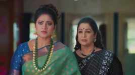 Salangai Oli (Zee Tamil) S01 E220 17th December 2025