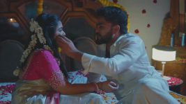 Salangai Oli (Zee Tamil) S01 E229 23rd December 2025