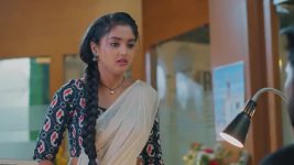 Salangai Oli (Zee Tamil) S01 E236 27th December 2025