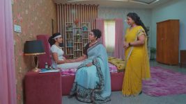 Salangai Oli (Zee Tamil) S01 E238 29th December 2025