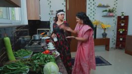 Salangai Oli (Zee Tamil) S01 E240 30th December 2025