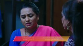 Shravani Subramanya S01 E480 17th December 2025
