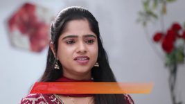 Varisu (Zee Tamil) S01 E139 13th December 2025