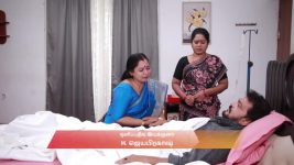 Varisu (Zee Tamil) S01 E140 15th December 2025