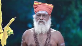Varisu (Zee Tamil) S01 E153 28th December 2025