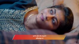 Veera (Zee Tamil) S01 E503 11th December 2025