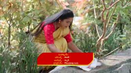 Illu Illalu Pillalu (Star Maa) S01 E331 Srivalli's Plea to Narmada, Prema