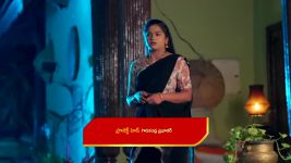 Illu Illalu Pillalu (Star Maa) S01 E347 Narmada, Prema's Mission