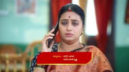 Karthika Deepam S02 E541 Karthik's Advice to Swapna, Kasi