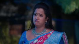 Ninnu Kori (Star Maa) S01 E492 Shalini's Plan Backfires