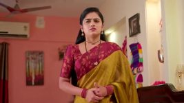 Paape Maa Jeevana Jyothi S01 E1449 Shashikanth's Advise to Aditya