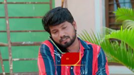 Paluke Bangaramayana S01 E717 Shiva's Plea to Hasini