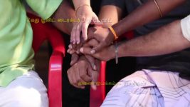 Pandian Stores S01E384 Meena's Whining Saga Full Episode