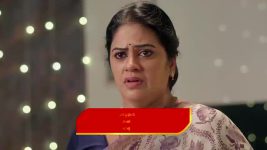 Saptapadi (Star Maa) S01 E69 Hari's Request to Aravind